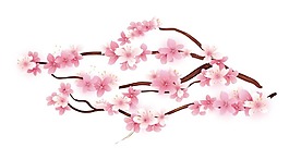 粉色鮮花枝頭png元素