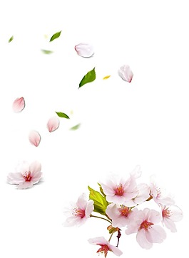 卡通粉色鮮花花朵png元素