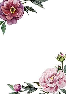 時(shí)尚手繪植物插畫