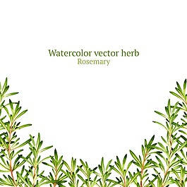 綠色時(shí)尚清新植物