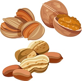 各種堅(jiān)果漫畫(huà)png