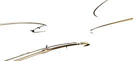 金色線條彎曲png元素