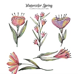 5款水彩繪春季花卉矢量素材