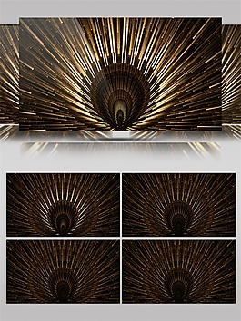 金色孔雀開屏動(dòng)態(tài)視頻素材