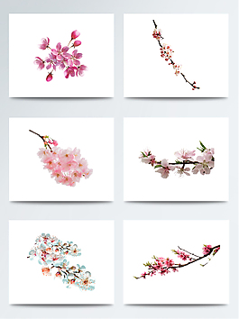 真实美丽的惊蛰桃花枝元素素材