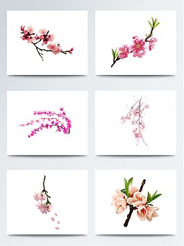 精美的驚蟄桃花枝元素素材