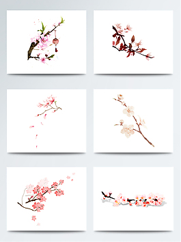 簡(jiǎn)約的驚蟄桃花枝元素素材