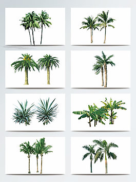 生機盎然綠色熱帶植物產品實物