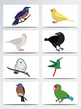 創(chuàng)意設(shè)計(jì)復(fù)古鳥類