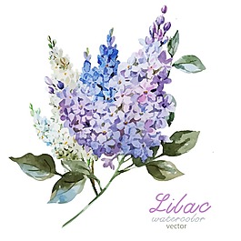 水彩繪紫色植物插畫(huà)