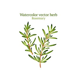 水彩繪綠色植物插畫