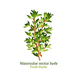 清新綠色手繪植物
