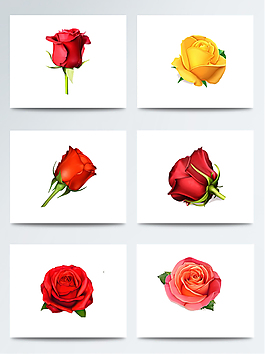 手繪插花玫瑰素材