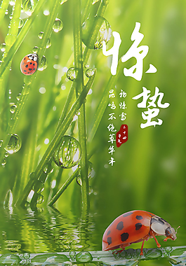 小清新驚蟄節氣海報