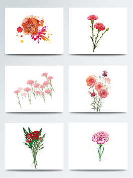 康乃馨鮮花圖案素材