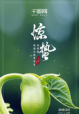 驚蟄節(jié)日海報