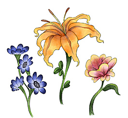 水彩復古花卉素材