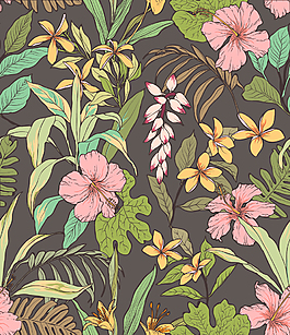 清新唯美植物插畫