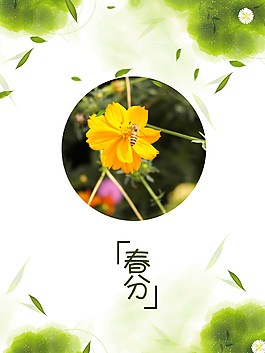 唯美春意春分海報(bào)背景設(shè)計(jì)