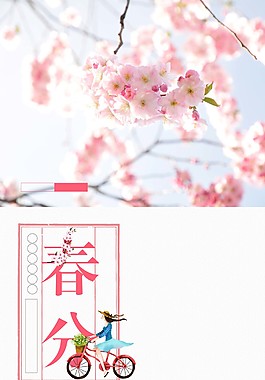 唯美粉色花枝春分海报背景设计