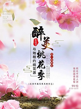 醉美桃花季海報