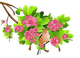 卡通清新粉色桃花喜鵲png元素
