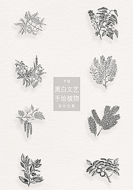 黑白文藝手繪植物png合集