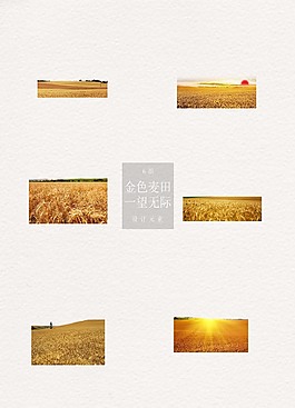 麥田豐收主題元素