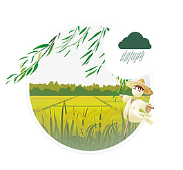 清新稻田谷雨節(jié)氣元素