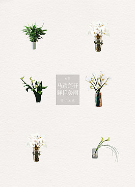 馬蹄蓮花瓶主題元素