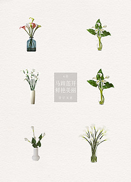 馬蹄蓮裝飾品主題元素