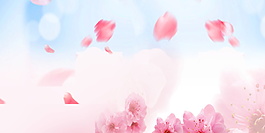 夢(mèng)幻粉色花瓣海報(bào)背景設(shè)計(jì)