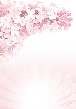 粉色夢幻花瓣商業背景素材