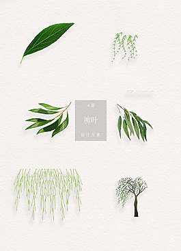 彩色清新手绘柳叶插画素材