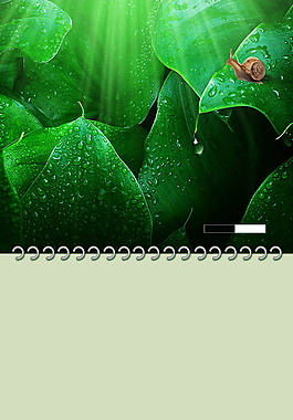 高清谷雨水滴綠葉海報(bào)背景設(shè)計(jì)