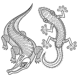 黑白手繪藝術鱷魚和壁虎插畫