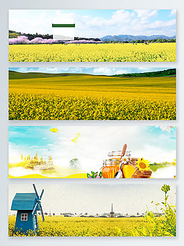 油菜花植物banner背景图