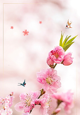 唯美春季桃花海报背景设计