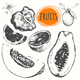 手繪美味的水果插畫
