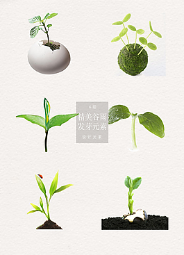 精美的谷雨發(fā)芽元素素材