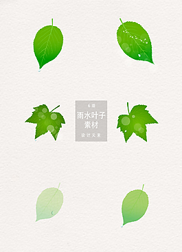 清新谷雨雨水葉子ai矢量元素