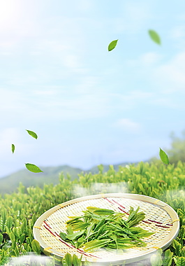清新春季新茶海報(bào)背景設(shè)計(jì)