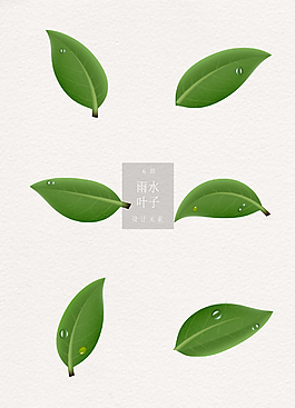 寫實(shí)綠葉谷雨雨水葉子ai矢量元素