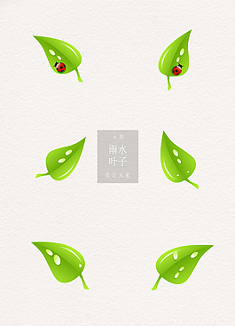 淡綠露珠雨水葉子ai矢量元素