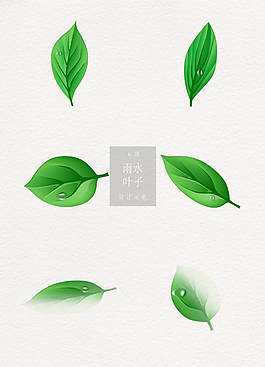 綠色清新雨水葉子ai矢量元素