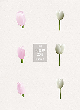 紫色白色寫實(shí)花朵郁金香ai矢量素材