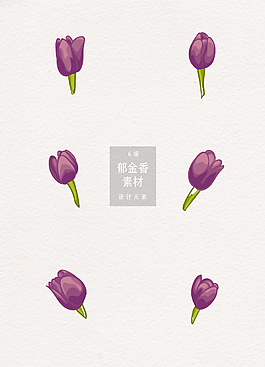 紫色手繪插畫郁金香素材ai矢量