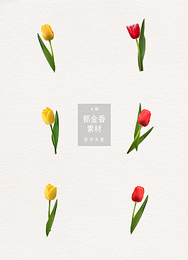 郁金香素材黃色紅色寫實(shí)ai矢量