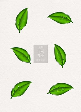 綠色葉子寫實雨滴ai矢量雨水葉子素材