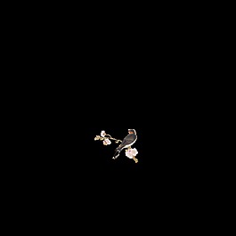 黑色春分藝術字
